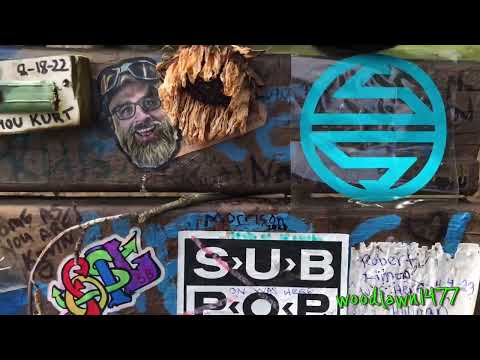 Aniversario 29 de Kurt Cobain