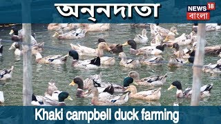 খাকি কেম্পবেল হাস পালন