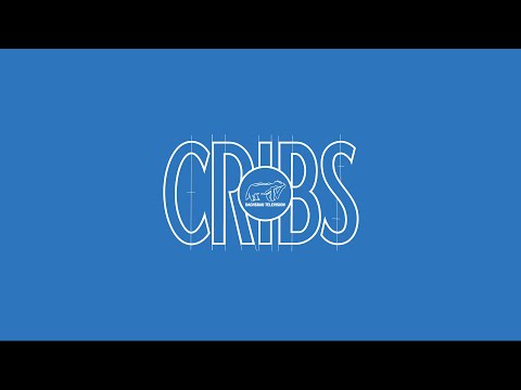 DachsbauTV Prime Time - DTV Cribs w/ Goshko