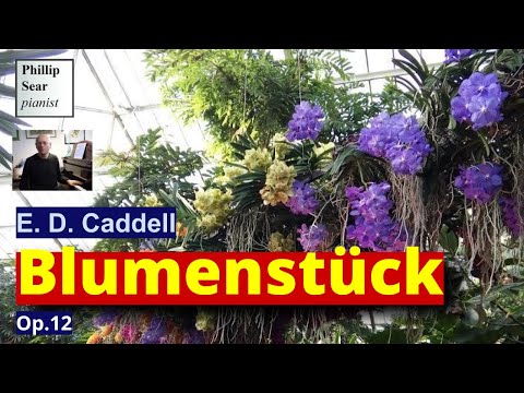E. D. Caddell: Blumenstück (Flower Piece), Op.12