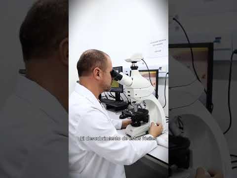 ¡Un hallazgo histórico para la paleontología en Suramérica!