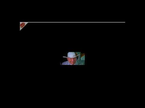 Clubbing Seals to Make a Deal (NEEM)