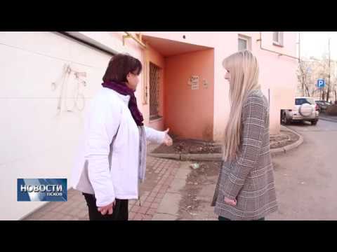 09.04.2019 / Чистота дворов зависит от активности жильцов многоквартирных домов