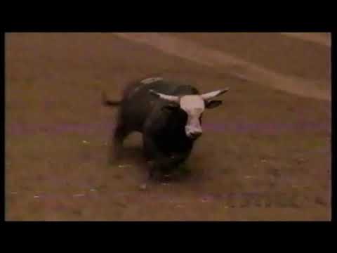 Cyclone bucks Tuff Hedeman - 97 PBR Ft. Worth