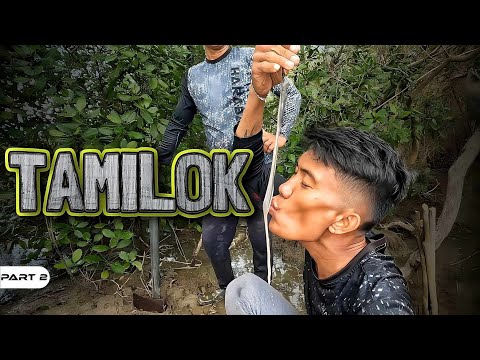 P2-Tamilok - EP1039