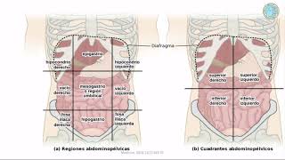 Abdomen Agudo Oncológico