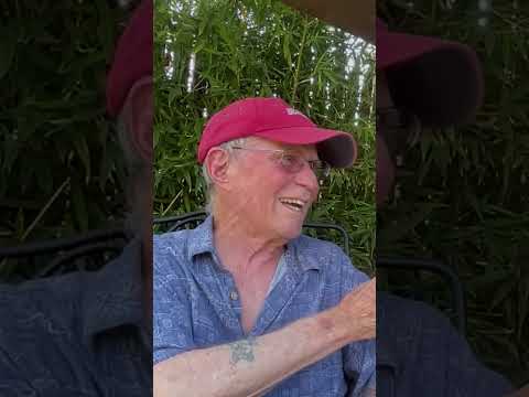 Country Joe McDonald playing solo on LSD #shorts #woodstock