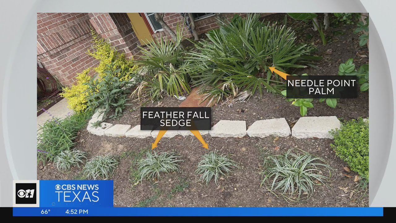 Gardening 101: Landscape Design