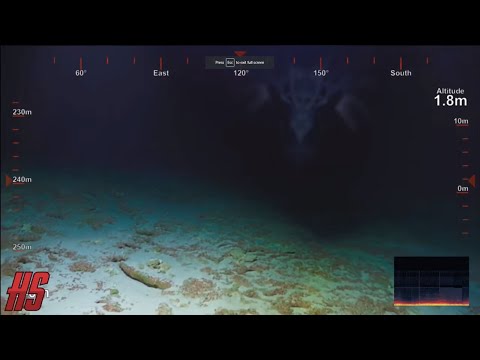 "Sea Serpent Investigates Deep Sea Camera In Murky Bora Bora" June 7, 2018 | HollywoodScotty VFX Video