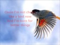 ApologetiX Cheap Birds