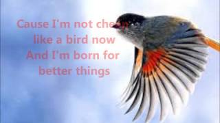 ApologetiX Cheap Birds