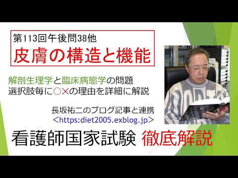 看護学科 皮膚の構造と機能113PM-38