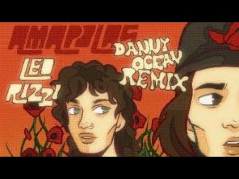 Amapolas Remix - Leo Rizzi x Danny Ocean (Audio Oficial)