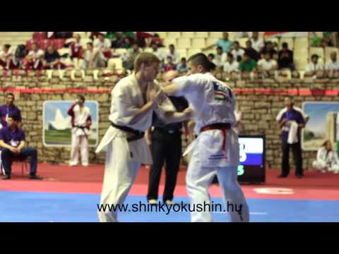 Tamás Popovics vs Meineche Michael - EUROPEAN SHINKYOKUSHIN KARATE CHAMPIONSHIP, 2014 BAKU