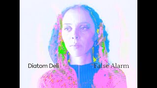 Diatom Deli – “False Alarm”