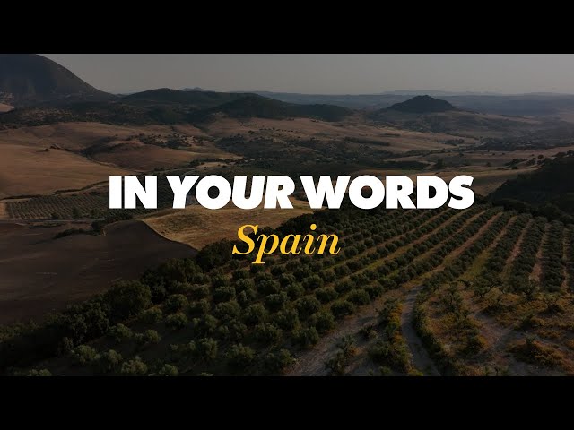 Customer Testimonials