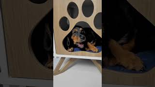 Vídeo sobre o produto