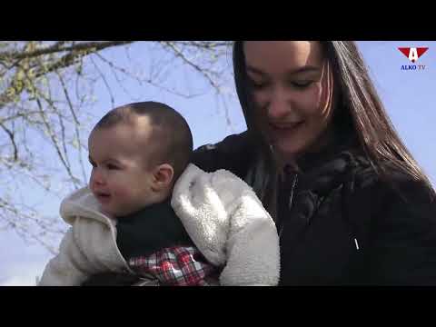 Apadrinamiento de almendros