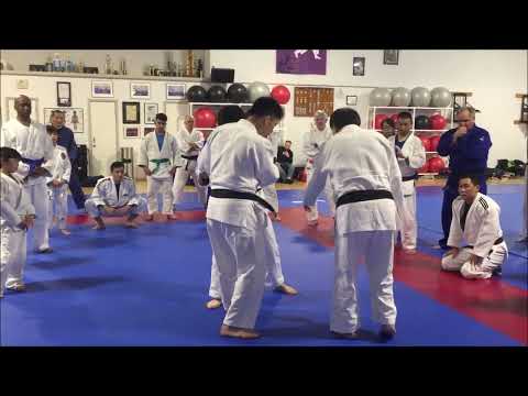 Kawakami Tomohiro demonstrating Ko Uchi Gari