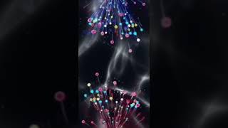 Download lagu Seharusnya aku ~ Elsa pitaloka  #musik #short #short mp3 Download lagu Seharusnya aku ~ Elsa pitaloka  #musik #short #short mp3