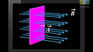 06 The Magnetic Field