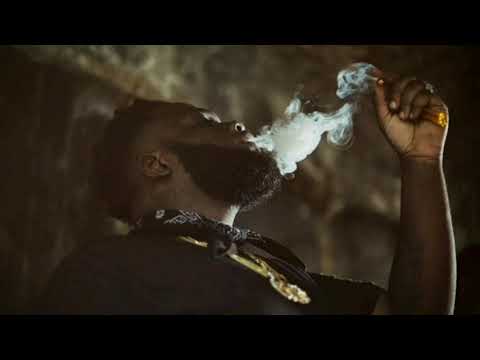 Chronic Law - Coulda (Official Audio) September 2020