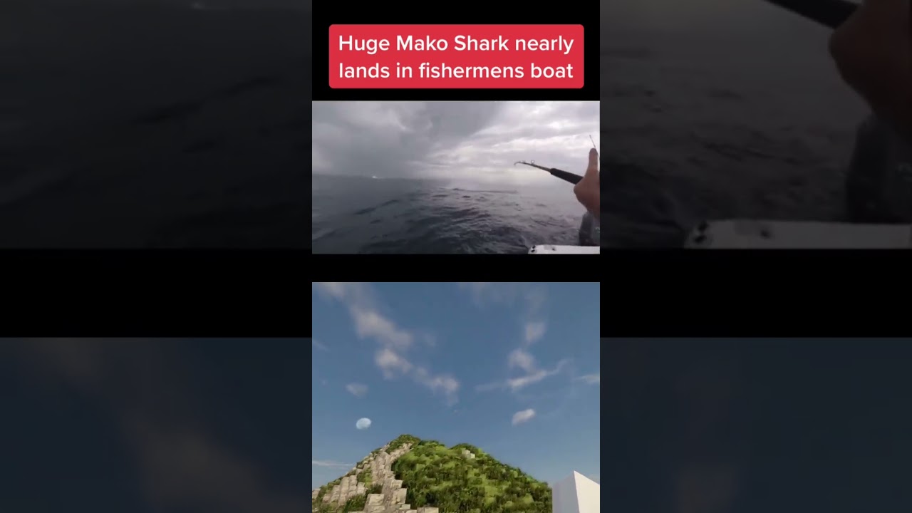 Things You Never Knew About Fish