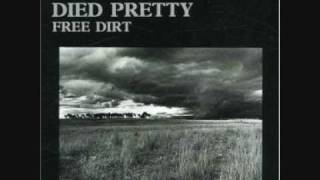Music video thumbnail preview for Died Pretty - Blue Sky Day (1986) by Died Pretty