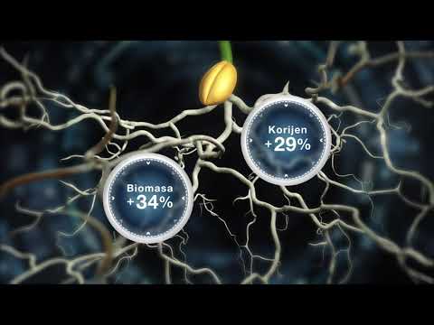 Systiva® – NOVA GENERACIJA FUNGICIDA