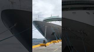 👆👉 CRUISE SHIPS SHORT #viewersloverviews #cruiseship #cruise #shorts #travel #vlog #2026