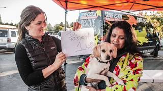 The Power of Compassion