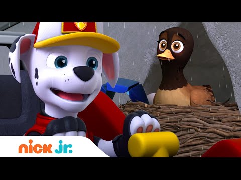PAW Patrol Big Truck Pups Rainy Day Mission 🌧 | Nick Jr.