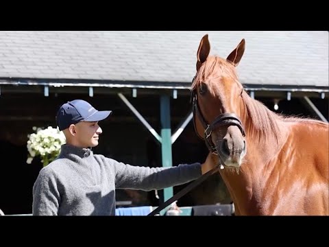 Meet Enrique Miranda, Breeders' Cup Filly & Mare Turf Contender SHE FEELS PRETTY's Exercise Rider