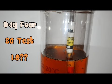 First Homebrew Beer Brewster Brew Monk Homebrew Day 4 Fermentation #1