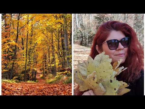 Turist pentru o zi in Sinaia: Plimbare pe poteca regala