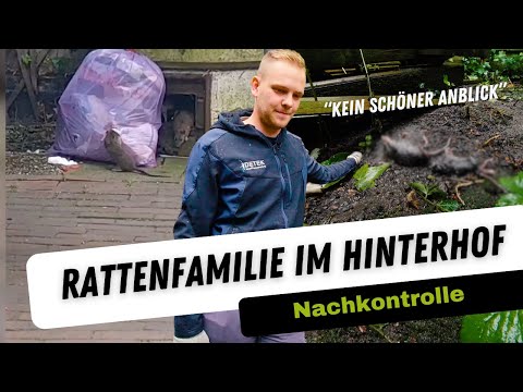 Rats in the backyard: Why disastrous conditions are a paradise for rats 🐀 | Exterminators on Tour