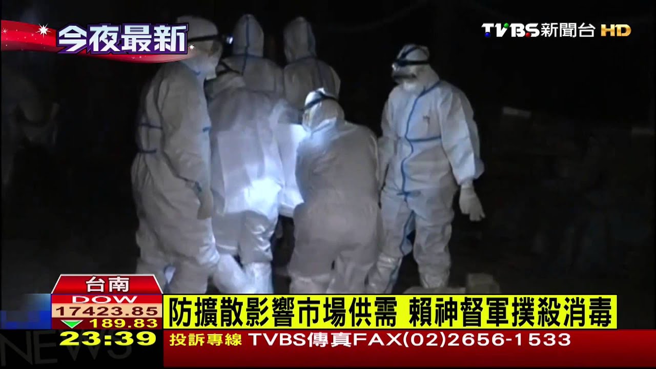 首例肉雞染瘟! 台南1.7萬隻雞連夜撲殺