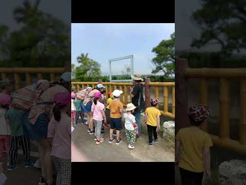 本園彩虹班校外踏查日記