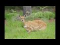 Nyika 2014 Slideshow