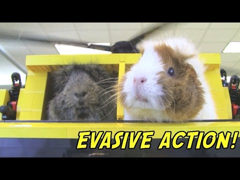 To the Guineacopter!