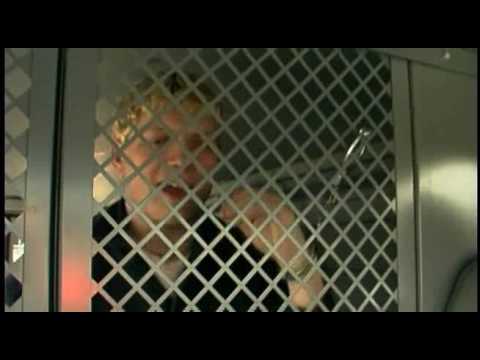 Let Me Sleep - The Nadas
