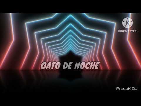 bad banny - gato de noche RKT (PresoK DJ)