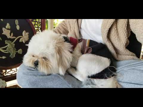 Kurt Cobain's sweater style with a black scarf 😍😍😍