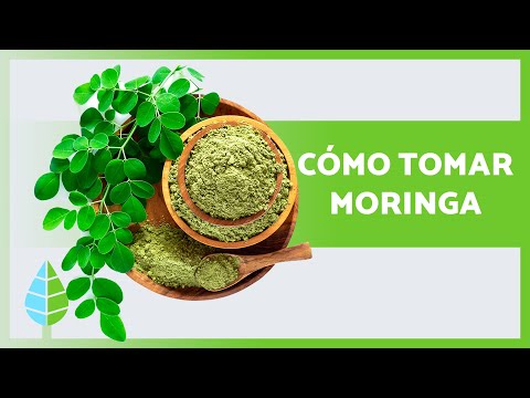 5 WAYS TO TAKE MORINGA 🌿 Benefit from its MEDICINAL PROPERTIES!