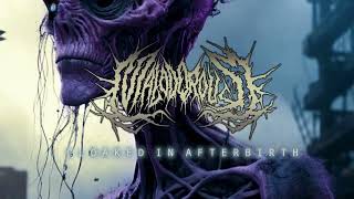 Music video thumbnail preview for MALODOROUS - \ by Malodorous