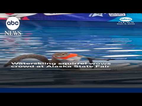 Waterskiing squirrel wows crowd at Alaska State Fair