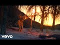 A.N.I.M.A.L - Milagro ft. Rubén Albarrán (Café Tacvba), Roco Pachukote (Maldita Vecindad)