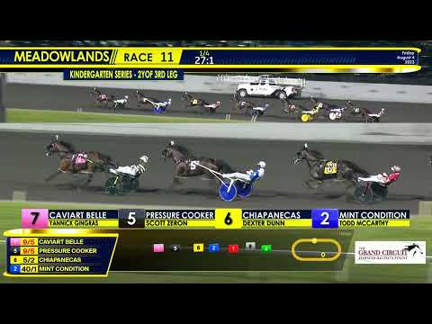 August 4, 2023 - NJSS Final - 2 Year Old Filly Pace - Race 11