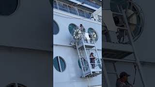 How do they keep cruise ships clean? #cruise