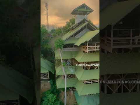 Paraiso Ayahuasca- Hotel en Puerto Nariño Amazonas